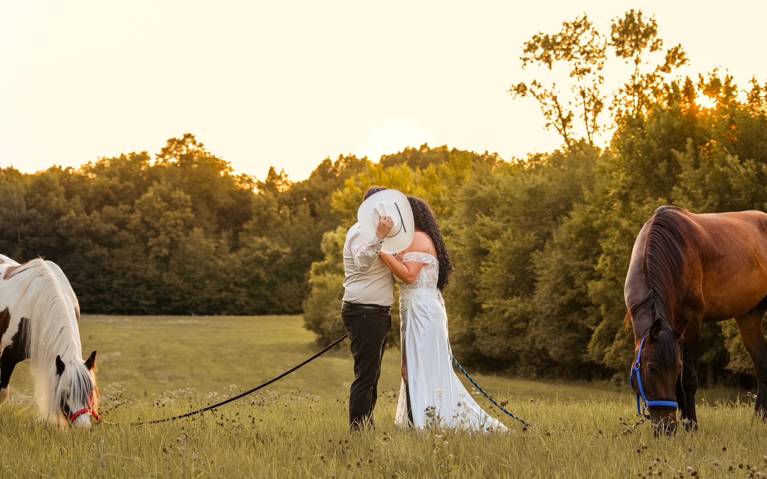 Couple kissing in golden sunset field with white and brown horses grazing nearby in a romantic outdoor wedding photo.