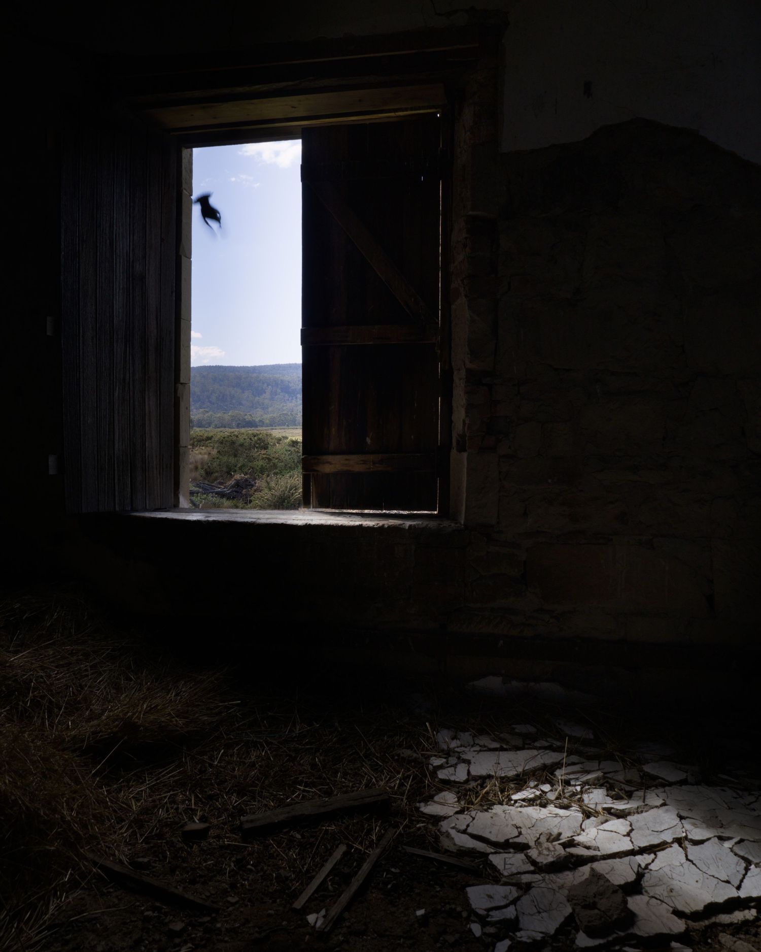 Abandoned dark room with cracked floor, open wooden door revealing a scenic mountain landscape under blue sky.
