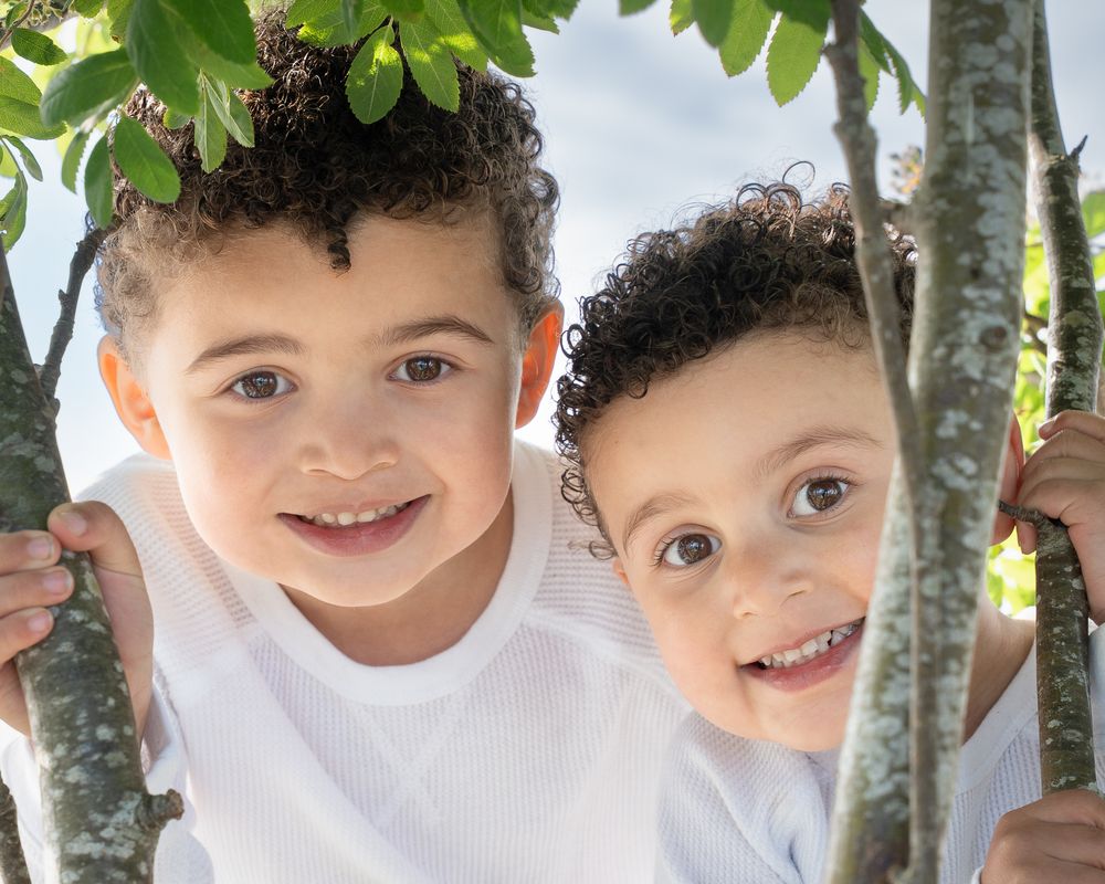Two young brothers smiling together between tree branches outdoors.