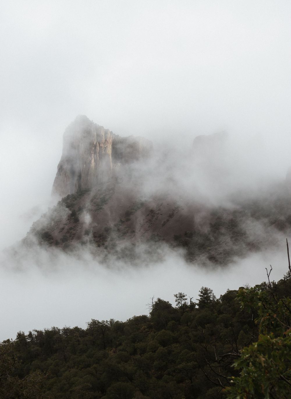 Dramatic rocky mountain peak shrouded in thick white clouds and mist above a lush green forest.