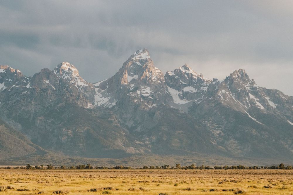 Dramatic snow-capped Grand Teton mountain range rising above golden plains under stormy sky.