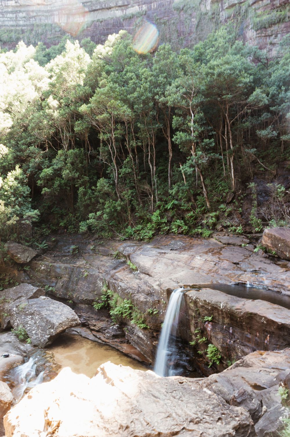 Small waterfall cascading over sandstone rocks surrounded by lush green forest trees.