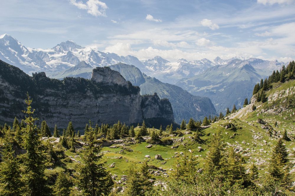 Stunning Alpine landscape with snow-capped mountains, green meadows, and pine trees under cloudy sky.