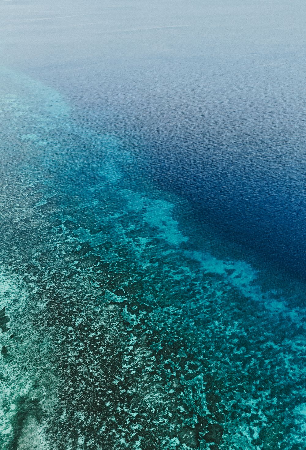 Aerial view of vibrant turquoise coral reef meeting deep blue ocean water.