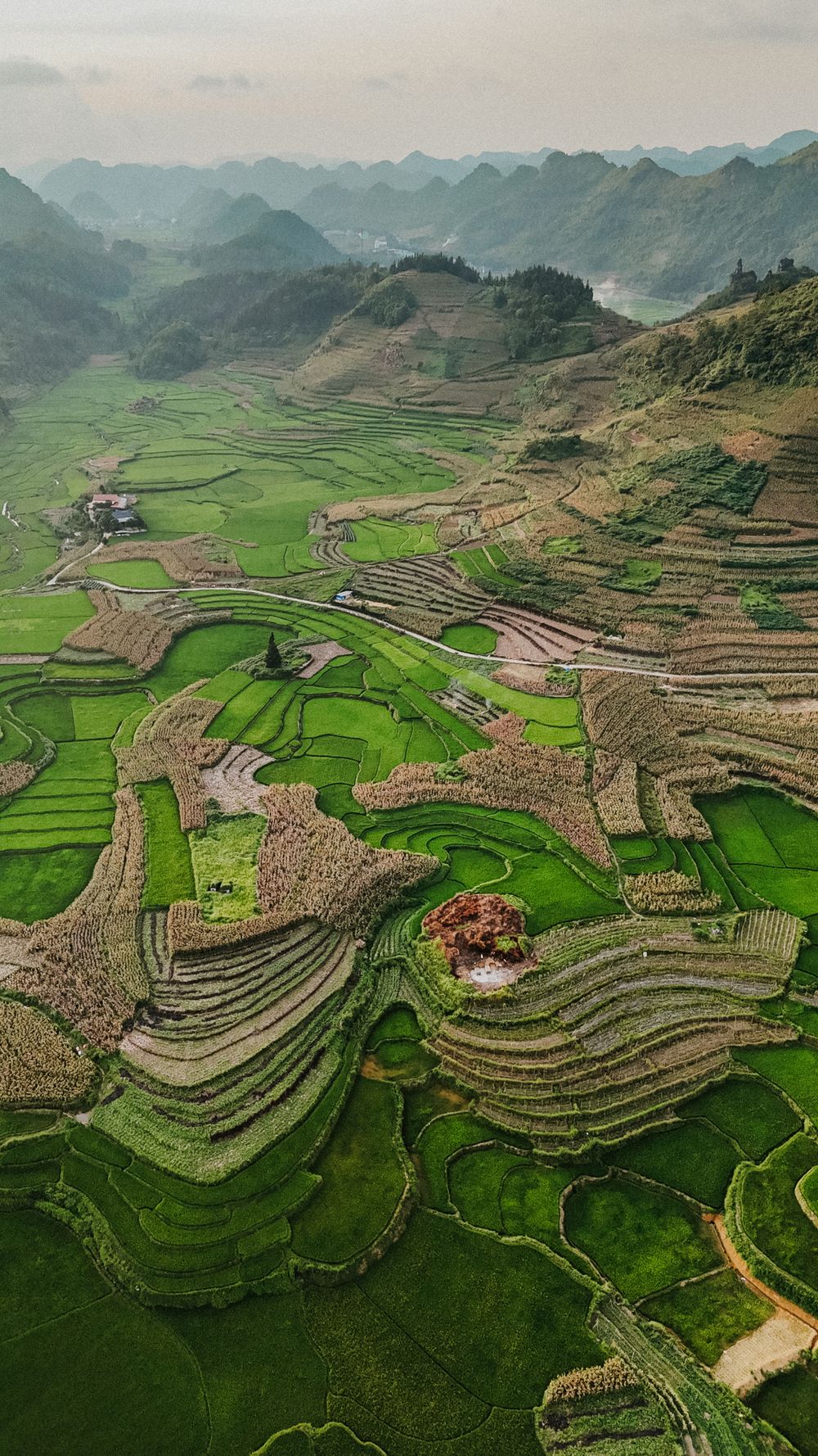 Aerial view of stunning green terraced rice fields cascading down mountain valleys in Vietnam.