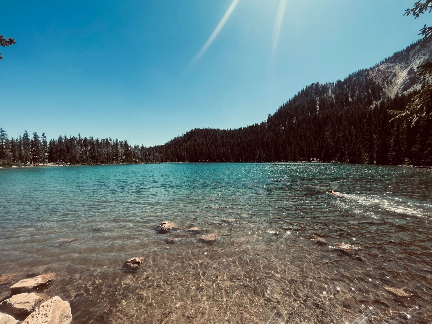 Crystal clear alpine lake surrounded by dense evergreen forest and rocky shoreline under a bright blue summer sky.
