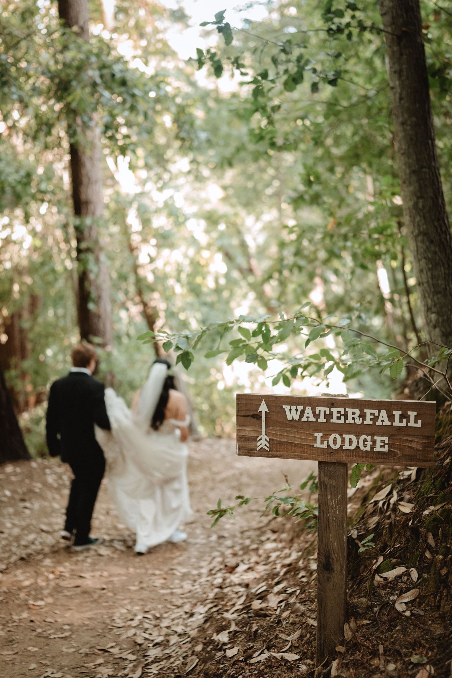 redwood forest wedding at waterfall lodge