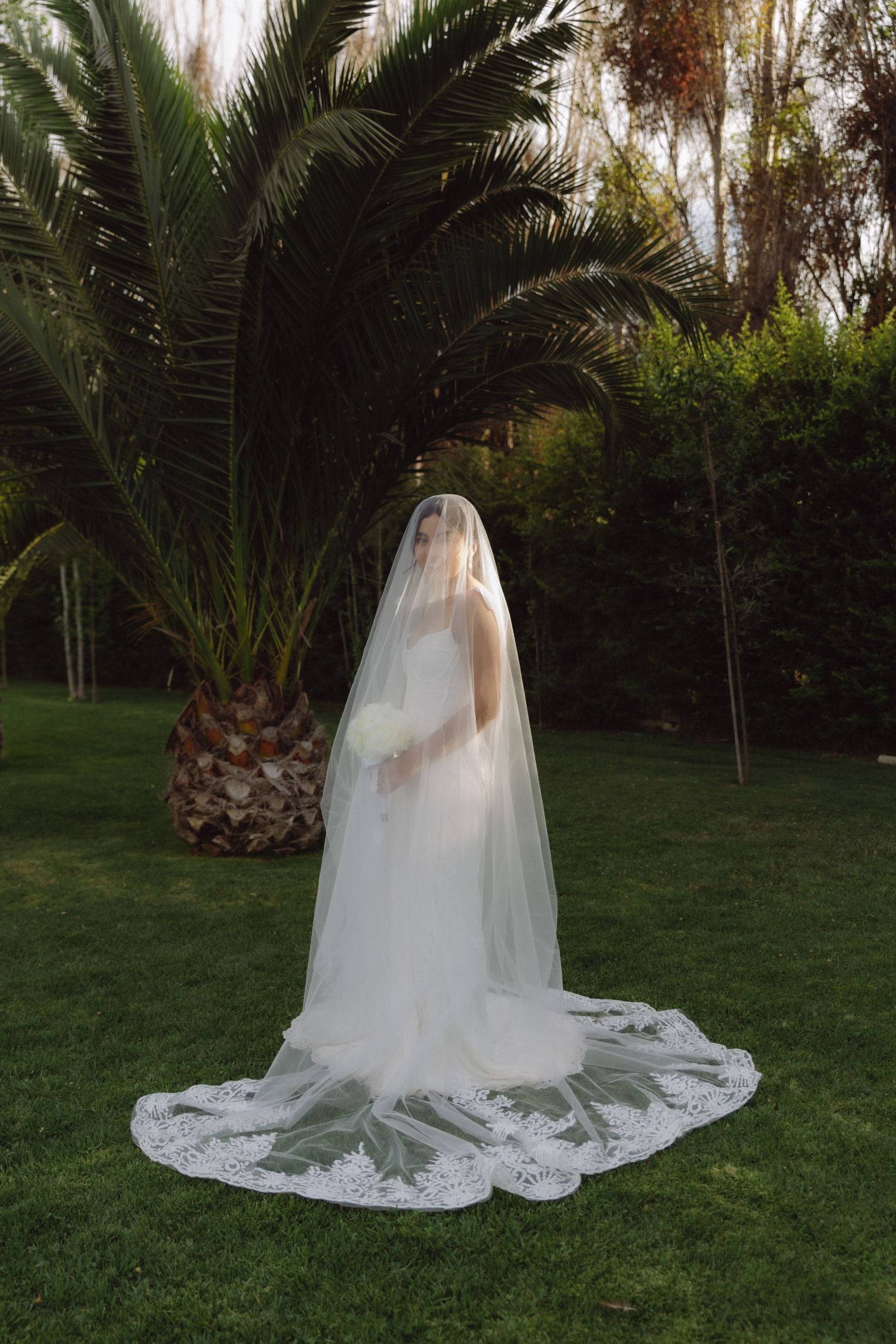 Bride in fitted white dress with long lace-trimmed cathedral veil stands on green lawn by palm tree.