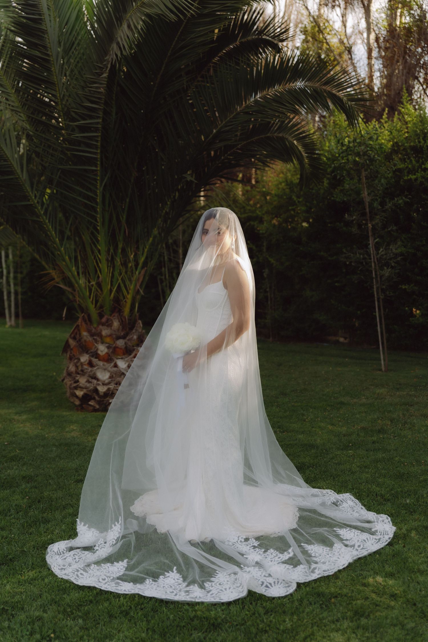 Bride in white wedding gown with long lace-edged veil poses gracefully on grass near a palm tree.