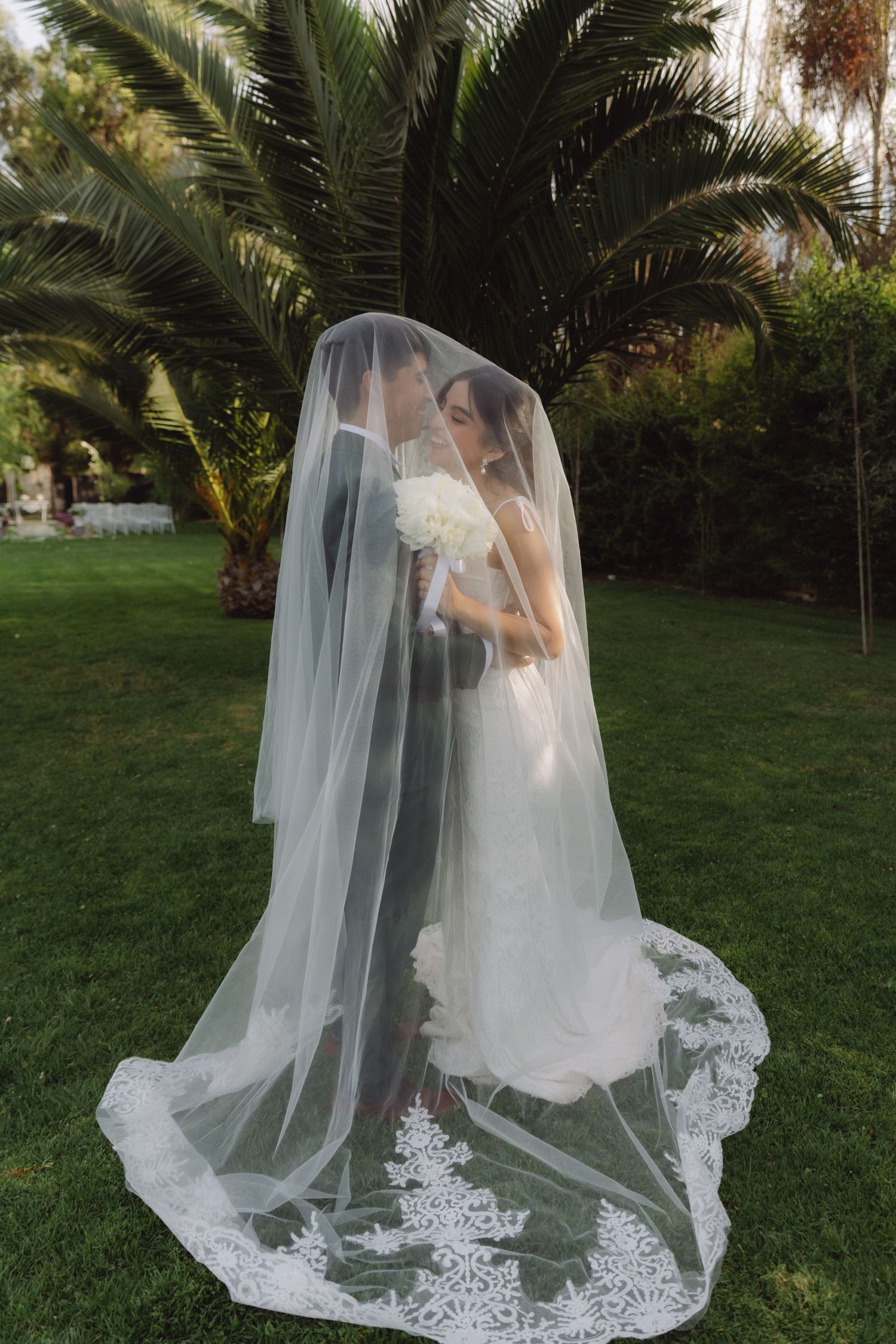 Bride and groom kiss under a long lace-trimmed cathedral veil on green lawn beside a palm tree.