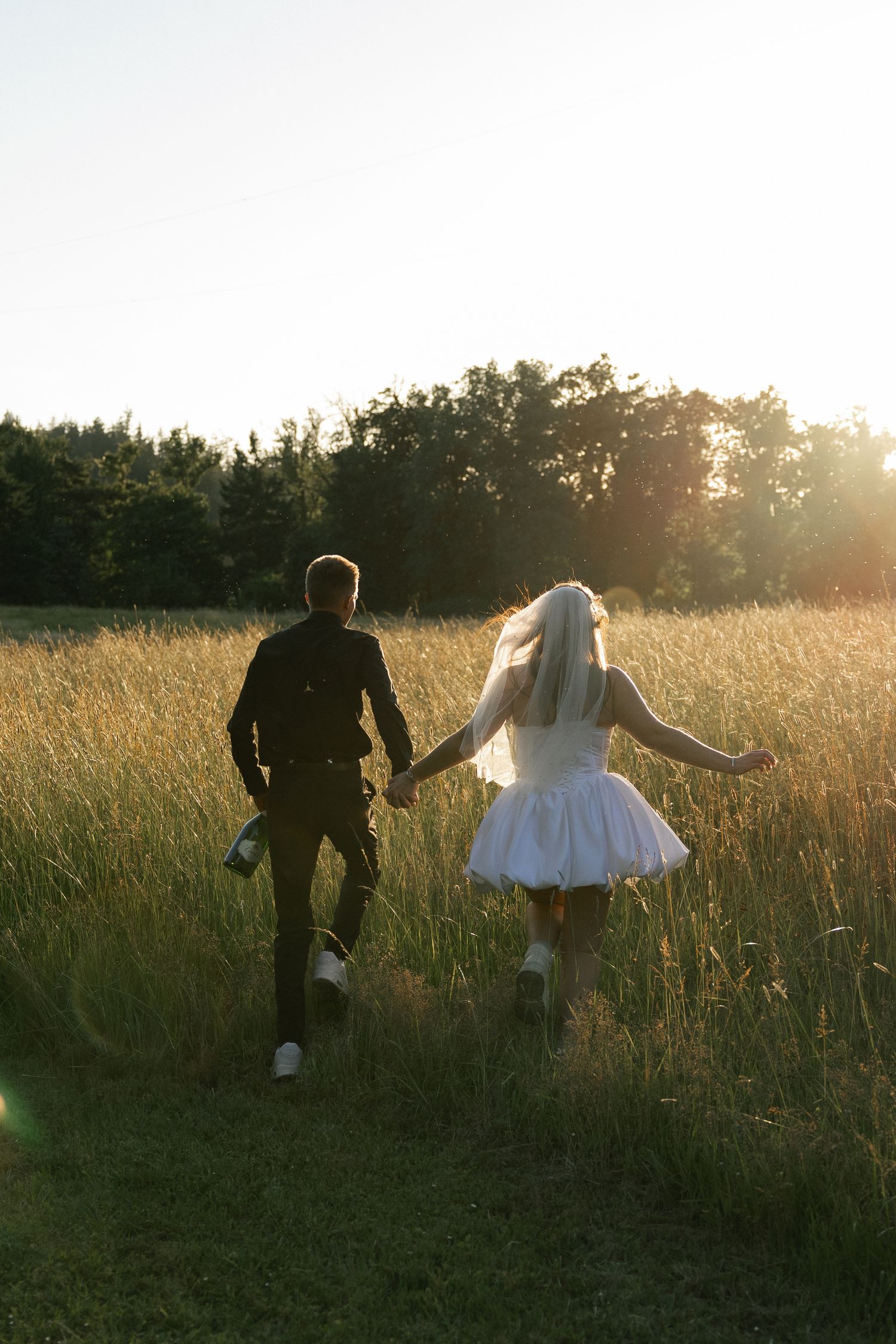 Bride and groom holding hands walking through golden field at sunset, bride in short white dress and veil.