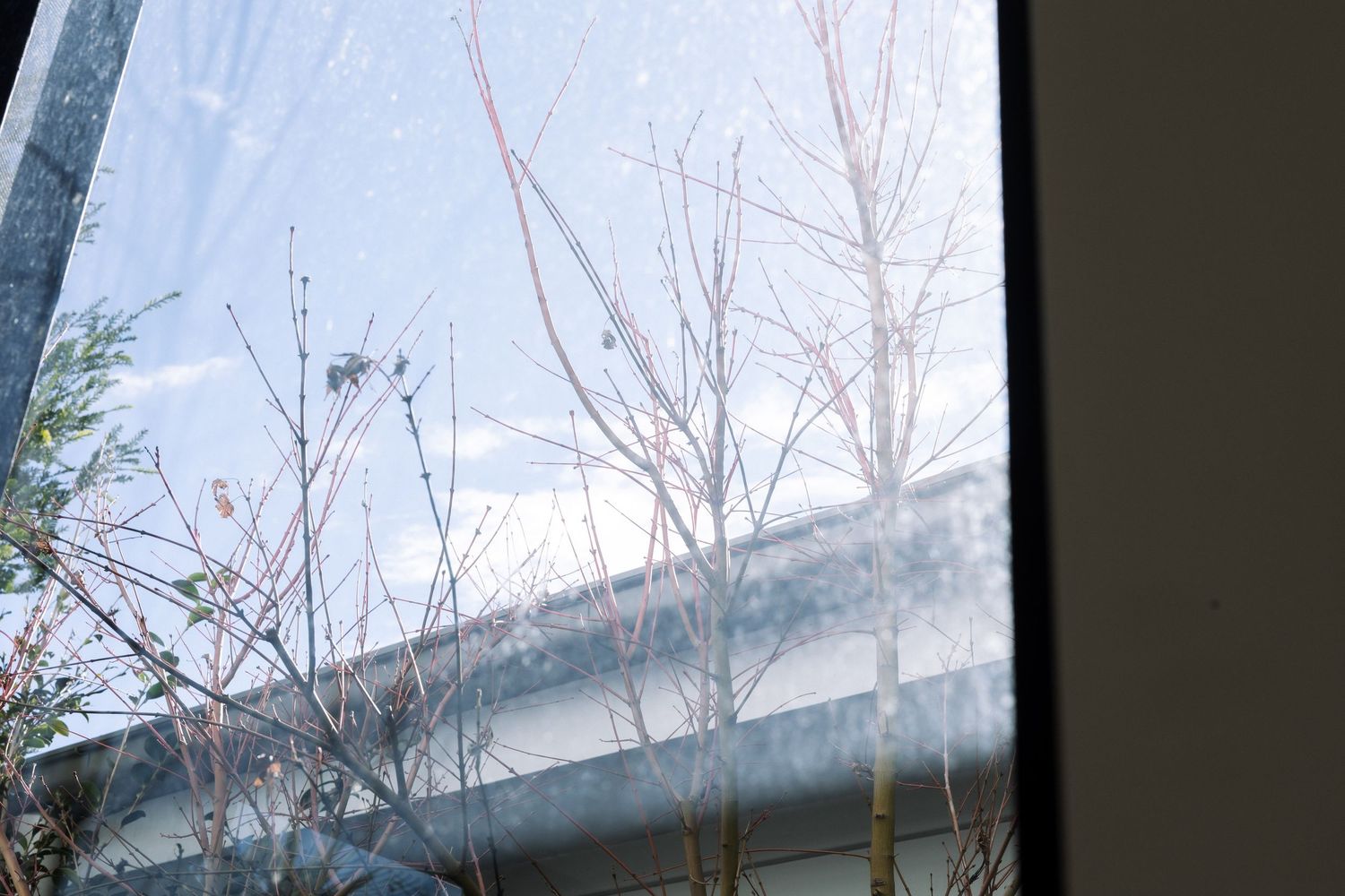 Bare winter branches visible through a rain-speckled window with a cloudy sky and rooftop in the background.