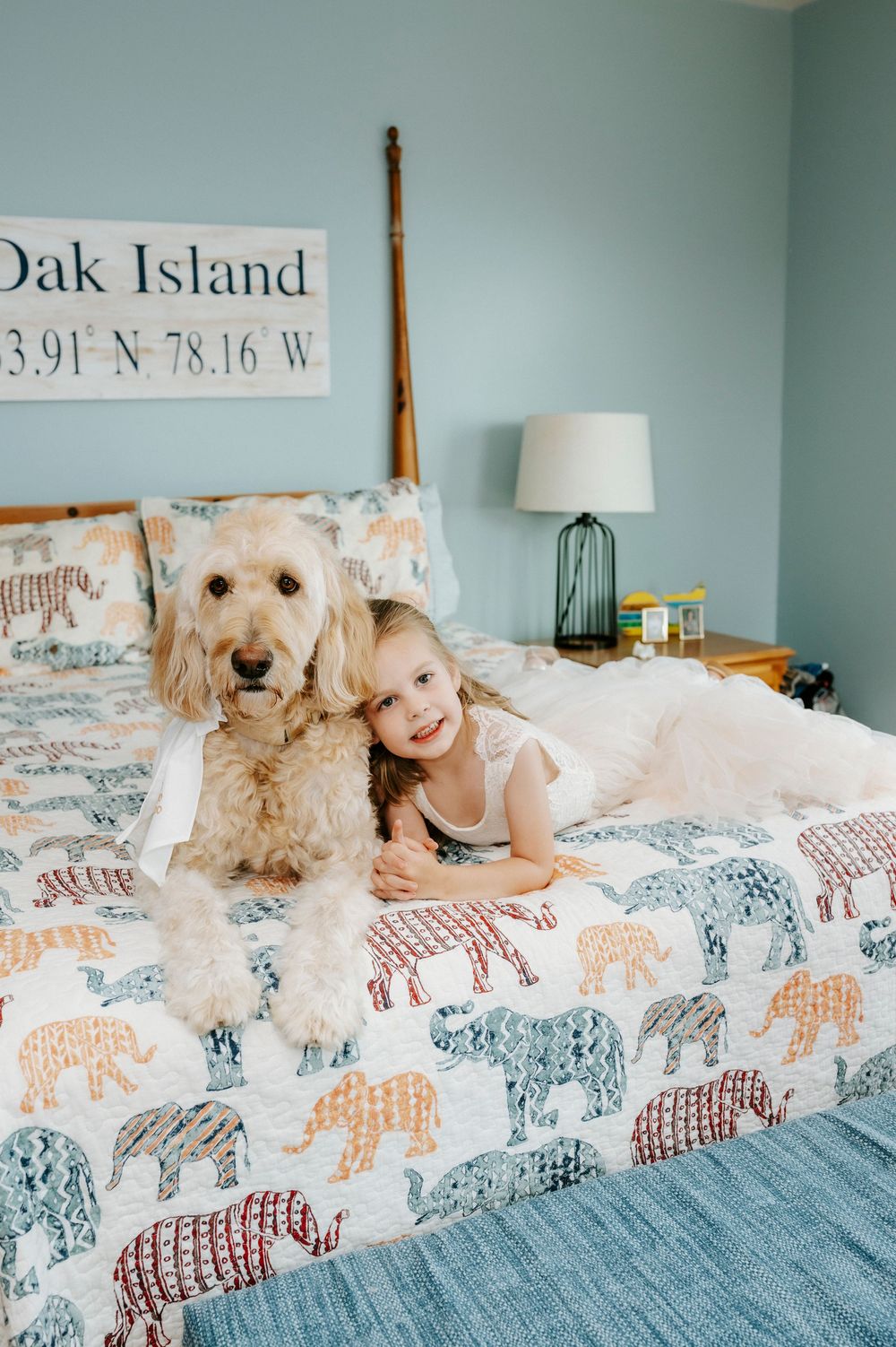 A young girl cuddles with a fluffy golden doodle on an elephant-print bedspread in a blue bedroom.
