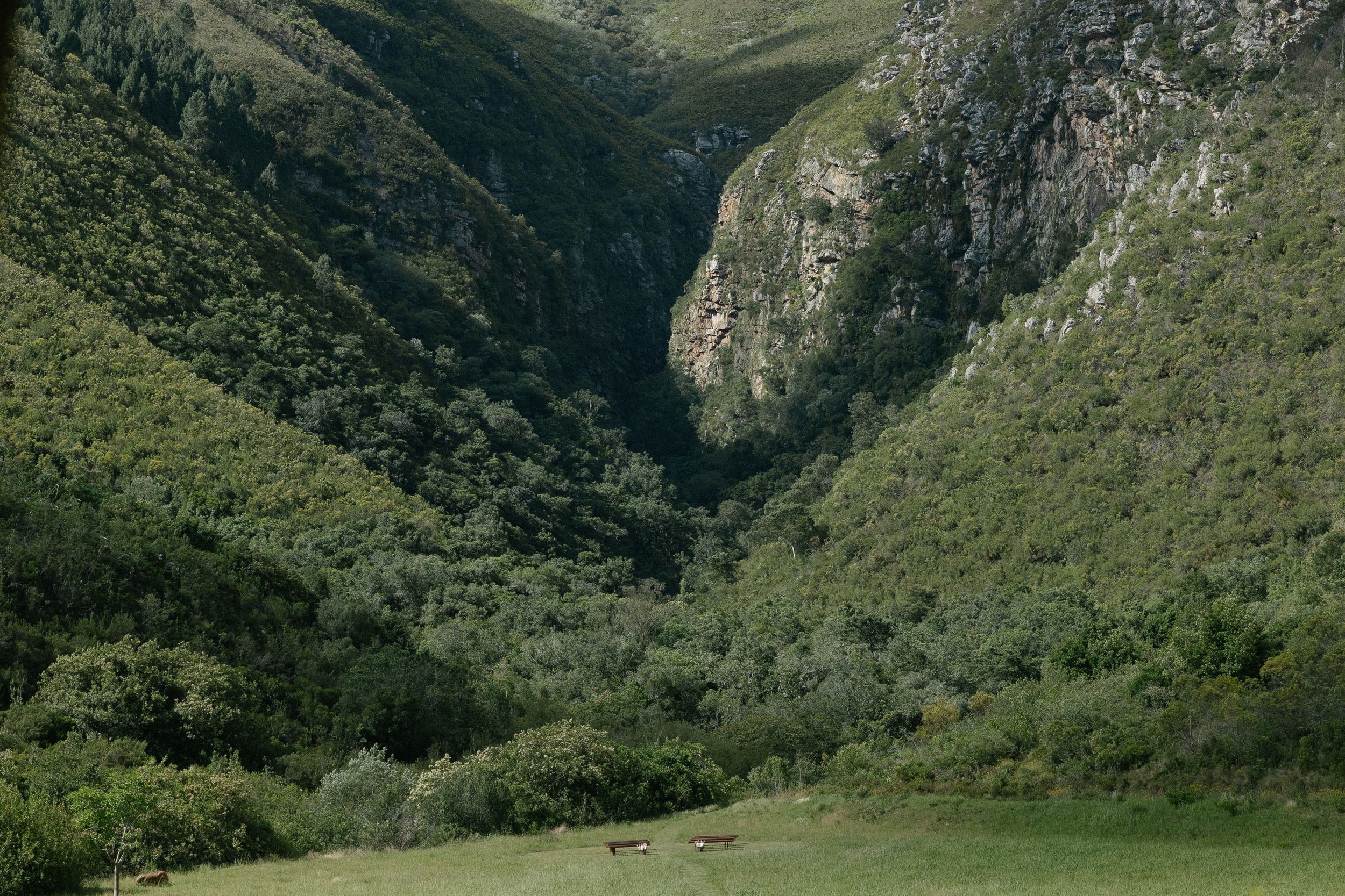 Documentary and Portrait wedding photographer, Christene de Coning Photography at Gods Window Swellendam, a Perfect Hideaways venue.