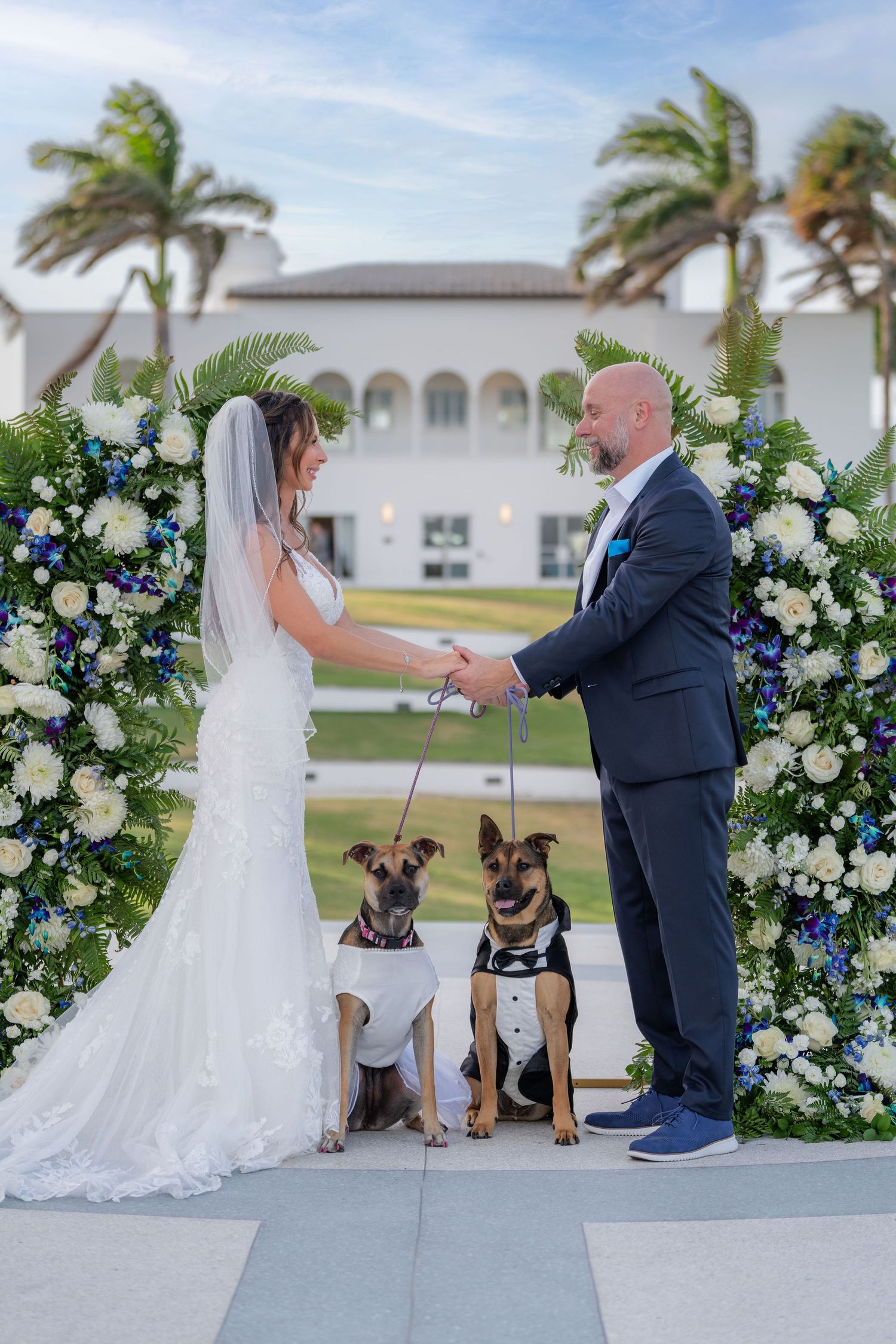 Couple holding hands with their two dogs during a South Terrace ceremony at the Mansion at Tuckahoe