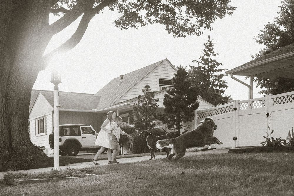 Vintage black and white photo of children playing with a large dog in a suburban yard near a white fence.