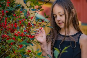 A young girl with long brown hair examines red berries on a bush outdoors.