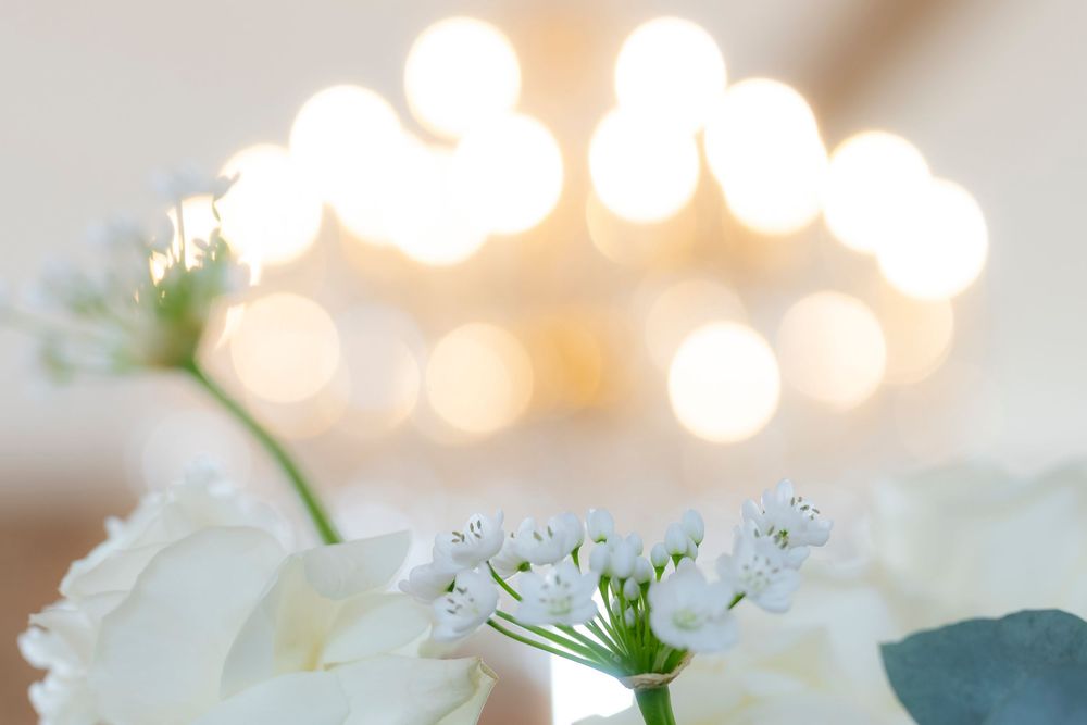 Close-up of white wedding flowers with soft bokeh lighting in background.