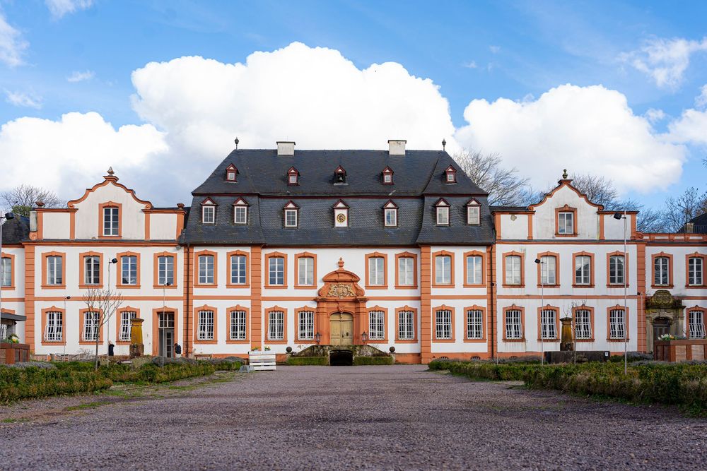 Panoramic view of a grand historic estate building with symmetrical architecture.