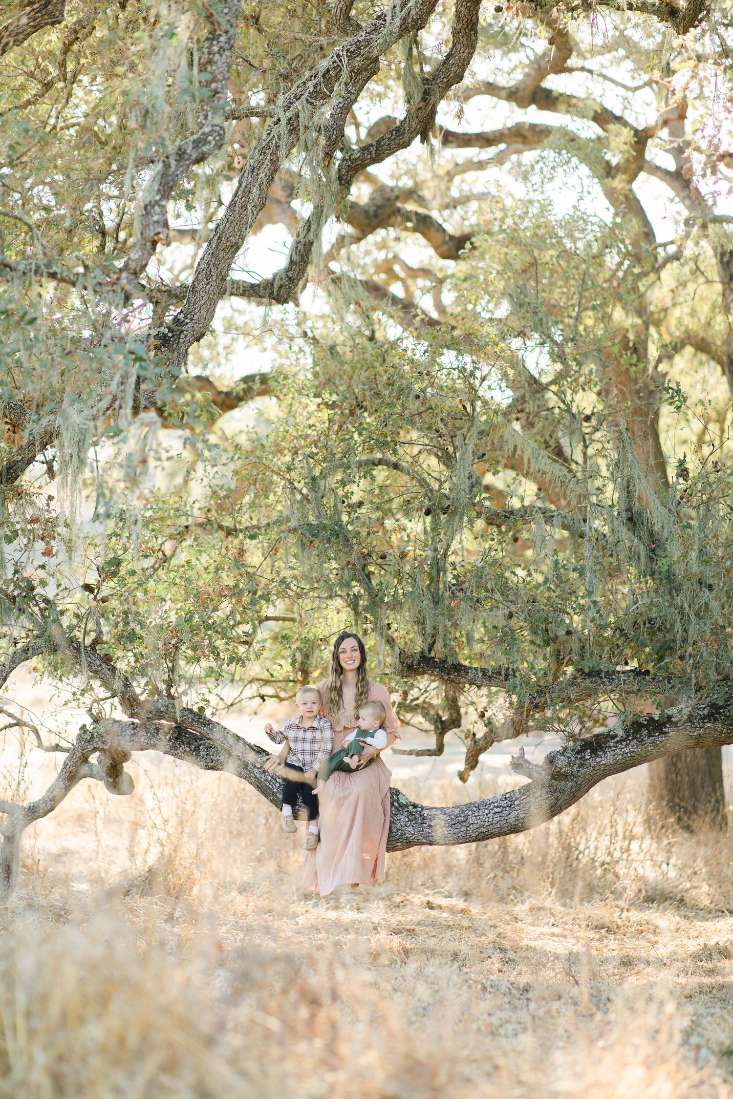 A woman in a pink dress sits on a large oak tree branch with a child in a sunlit, golden meadow.