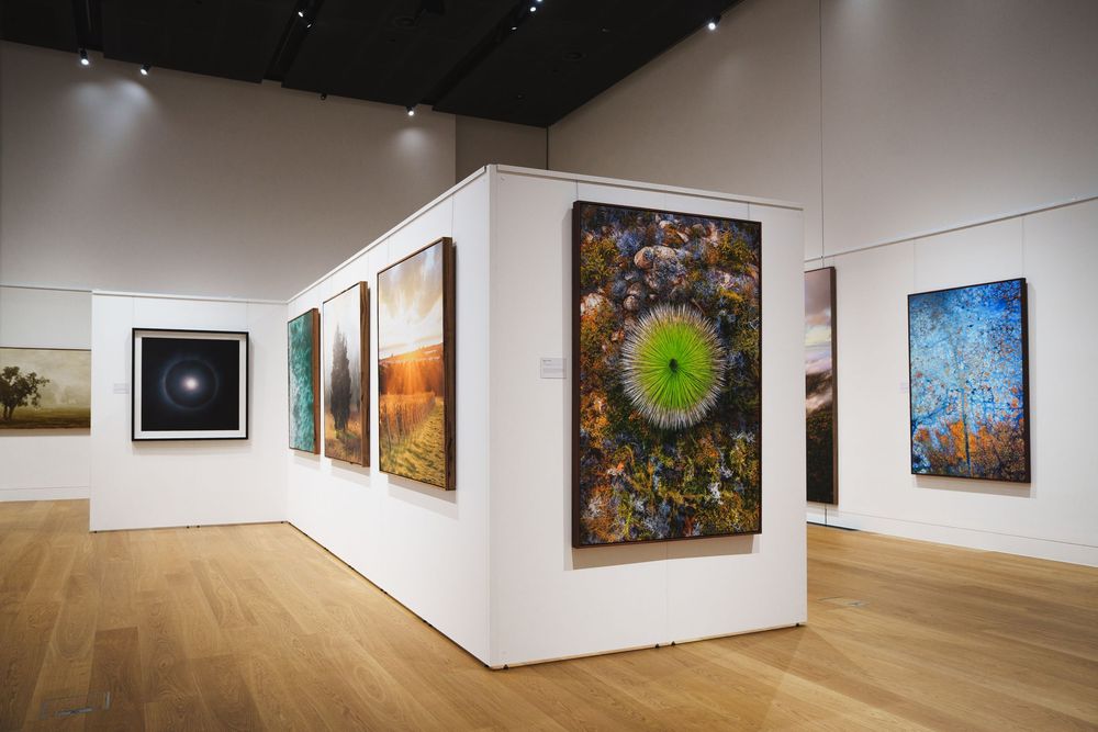 Modern art gallery interior showcasing vibrant landscape and nature photography prints on white walls.
