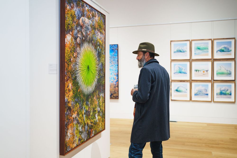 Man in hat viewing colorful nature artwork in a bright contemporary art gallery.