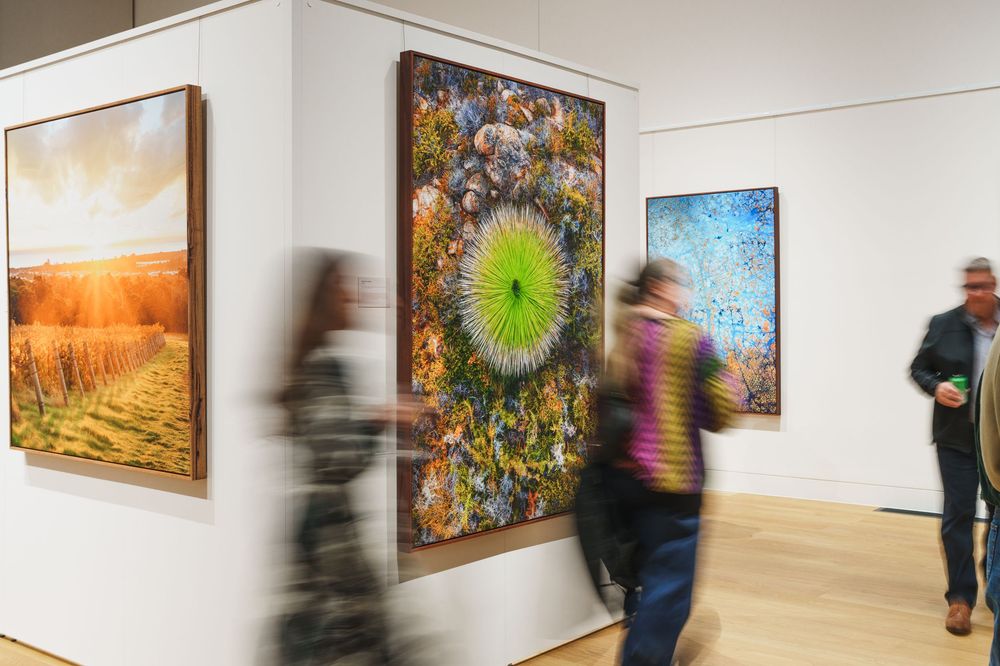 Gallery visitors viewing vibrant nature-inspired artworks including a green circular painting.