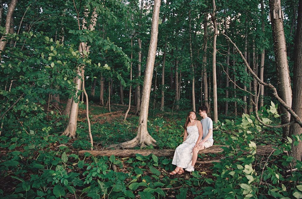 Couple sitting on a fallen log in a lush green forest, sharing a romantic moment among tall trees.