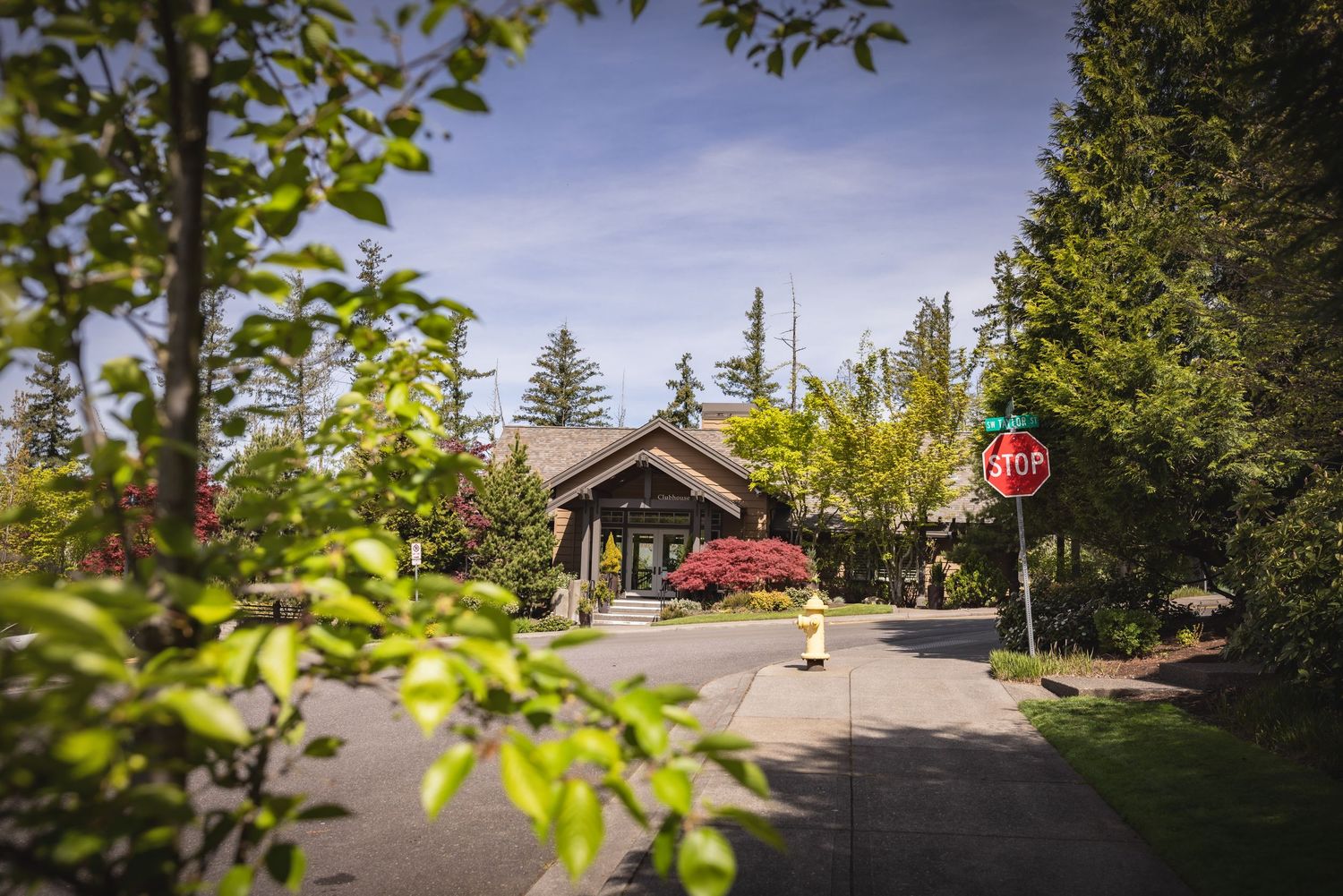 A charming craftsman-style home surrounded by lush green trees and a red Japanese maple on a sunny day.