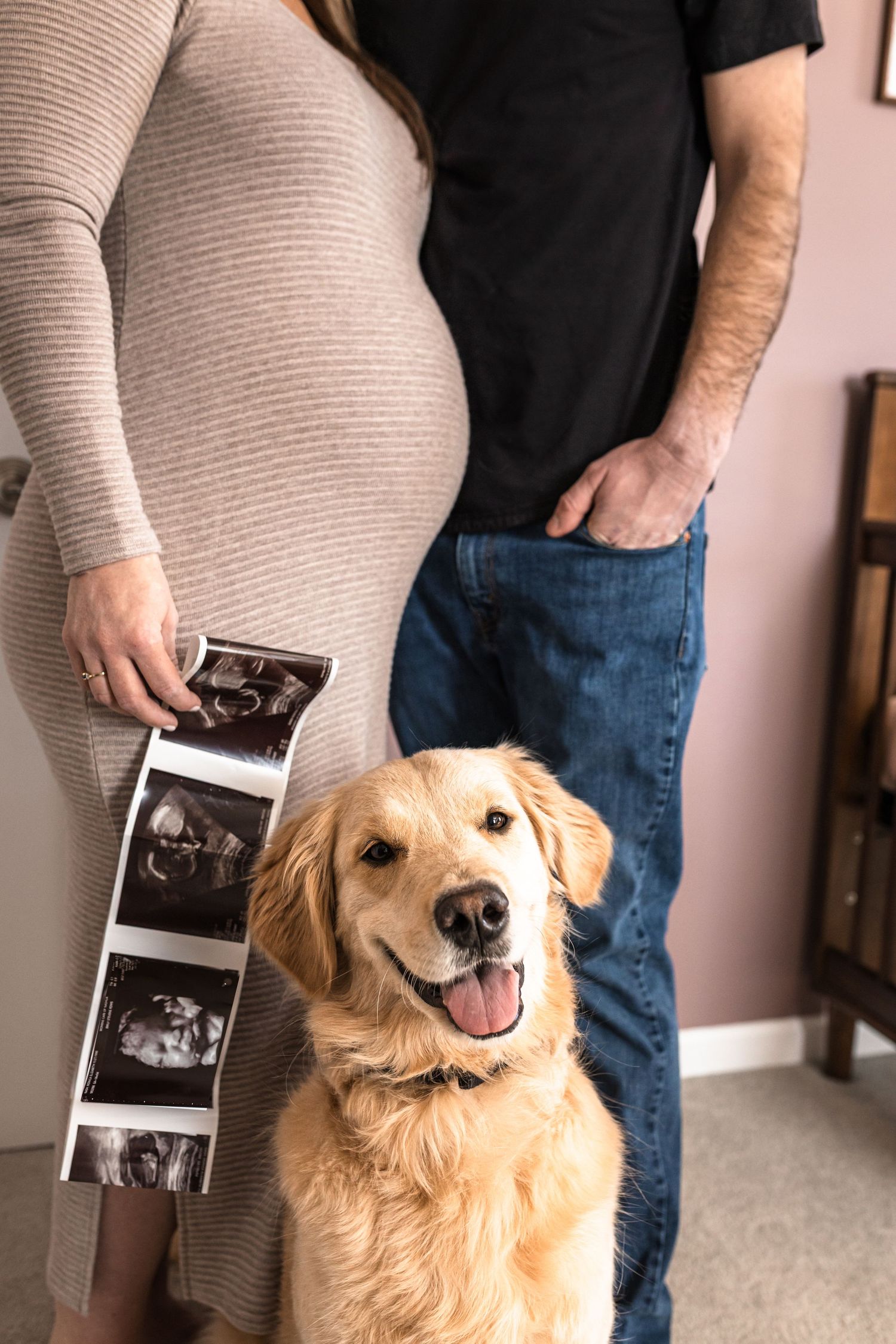 maternity dog ultrasound at home session new nursery