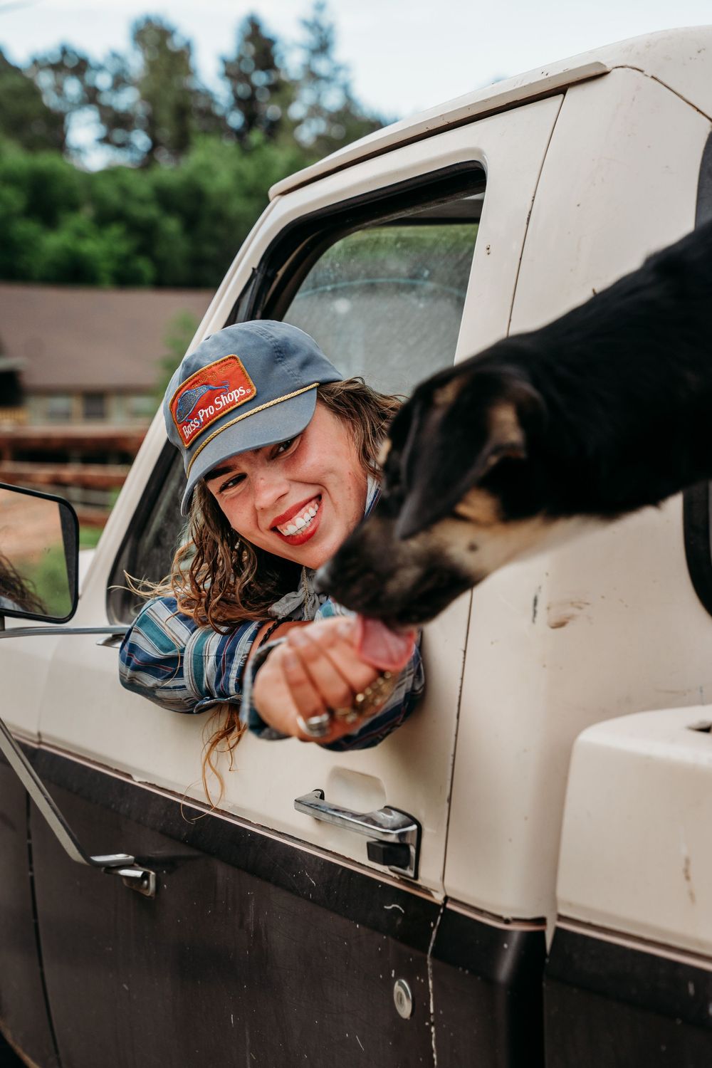 Smiling woman in a blue cap leans out of a vintage white truck window, feeding a black cow on a farm.