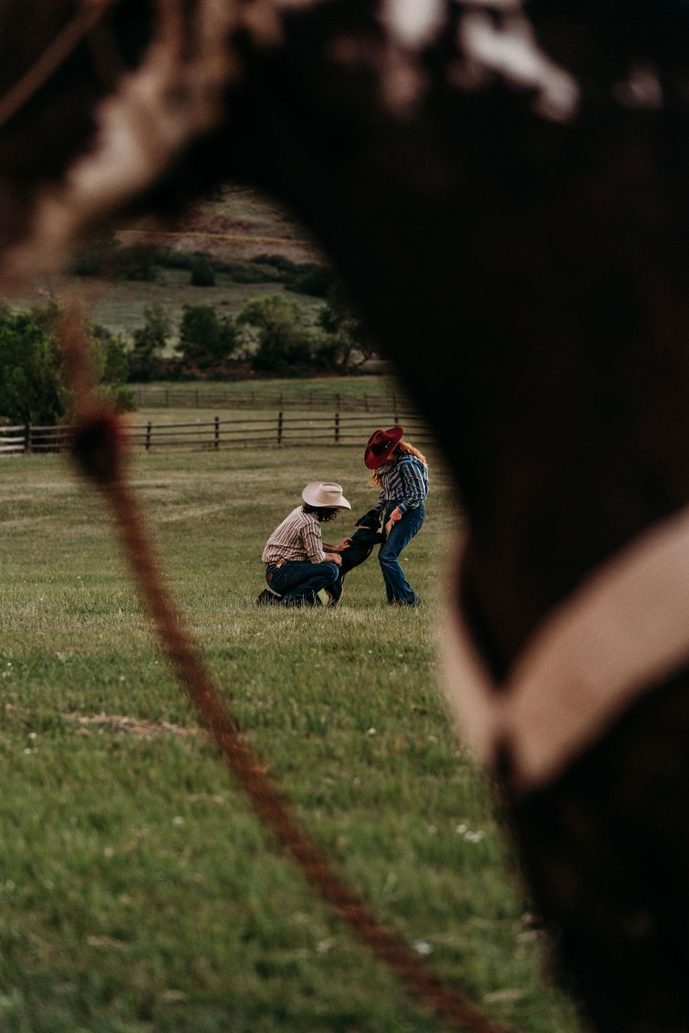 Two people in cowboy hats interact with a puppy in a green pasture, framed by a horse in the foreground.