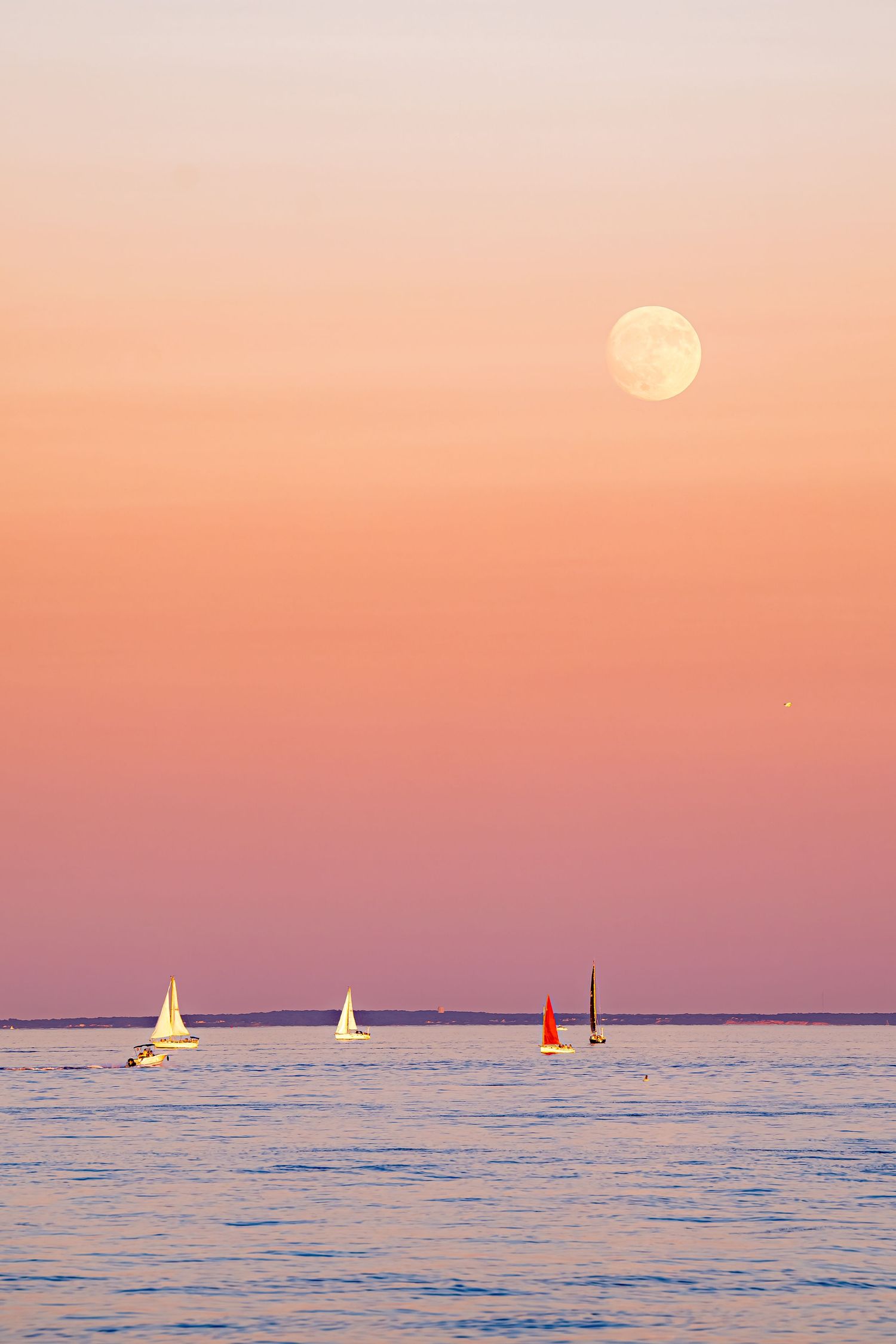 Sailboats with white and red sails glide on calm water under a full moon in a pink and orange sunset sky.