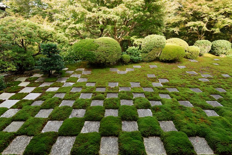A serene Japanese garden featuring a checkerboard pattern of moss and stone pavers surrounded by lush trimmed shrubs.