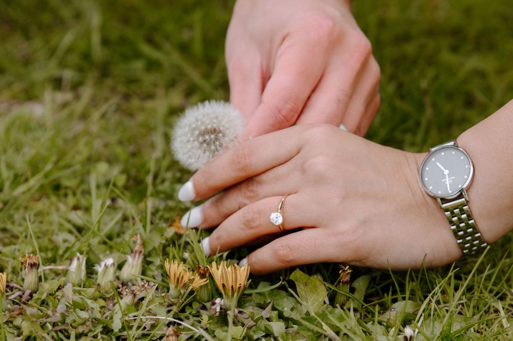 Close-up of hands with a gold ring and watch touching a dandelion on green grass.