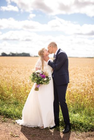 Bride and groom share a romantic kiss in front of a golden wheat field on their sunny wedding day.