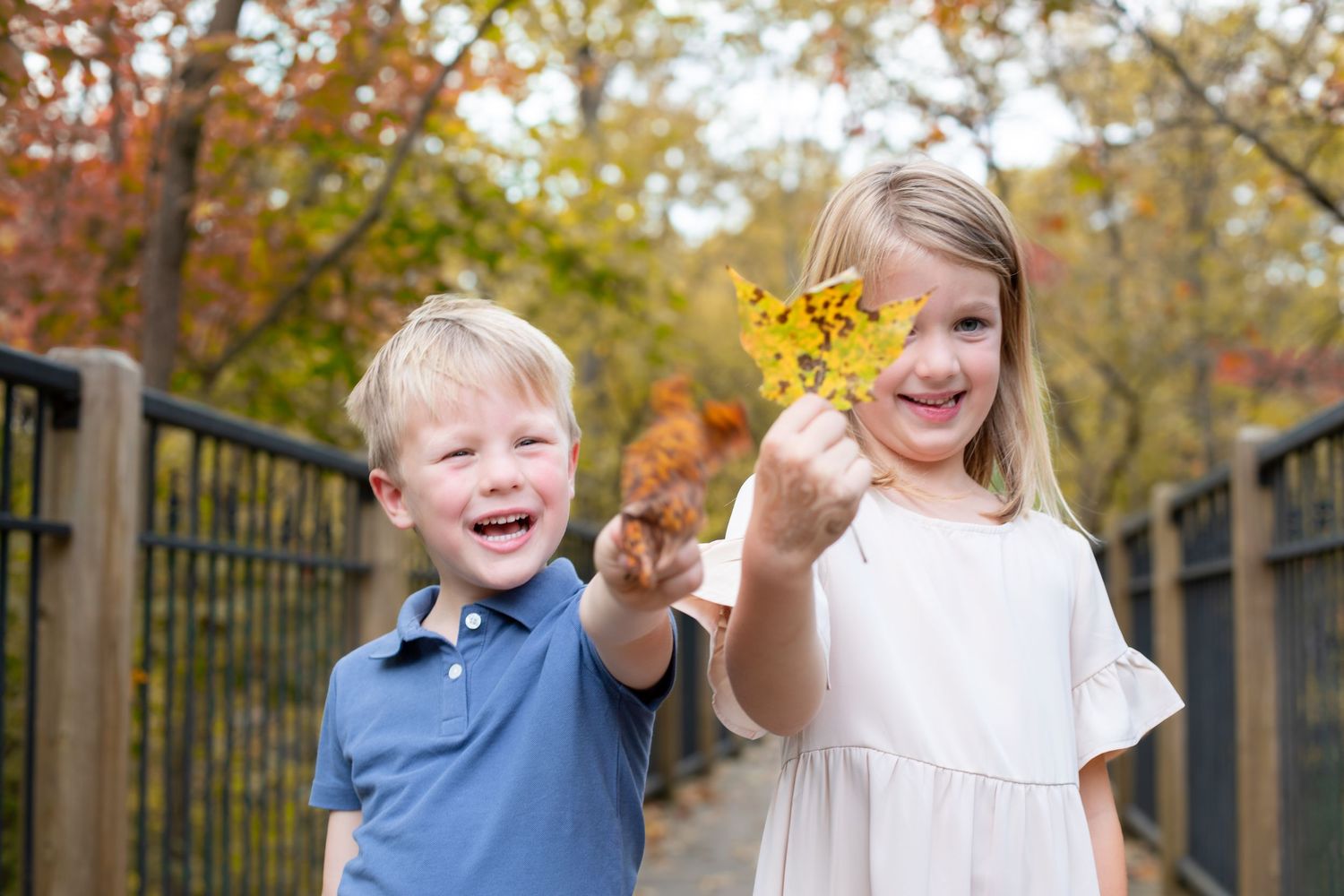 Cincinnati fall family photography at Sharon Woods Park featuring parents and children enjoying colorful autumn leaves and warm natural ligh