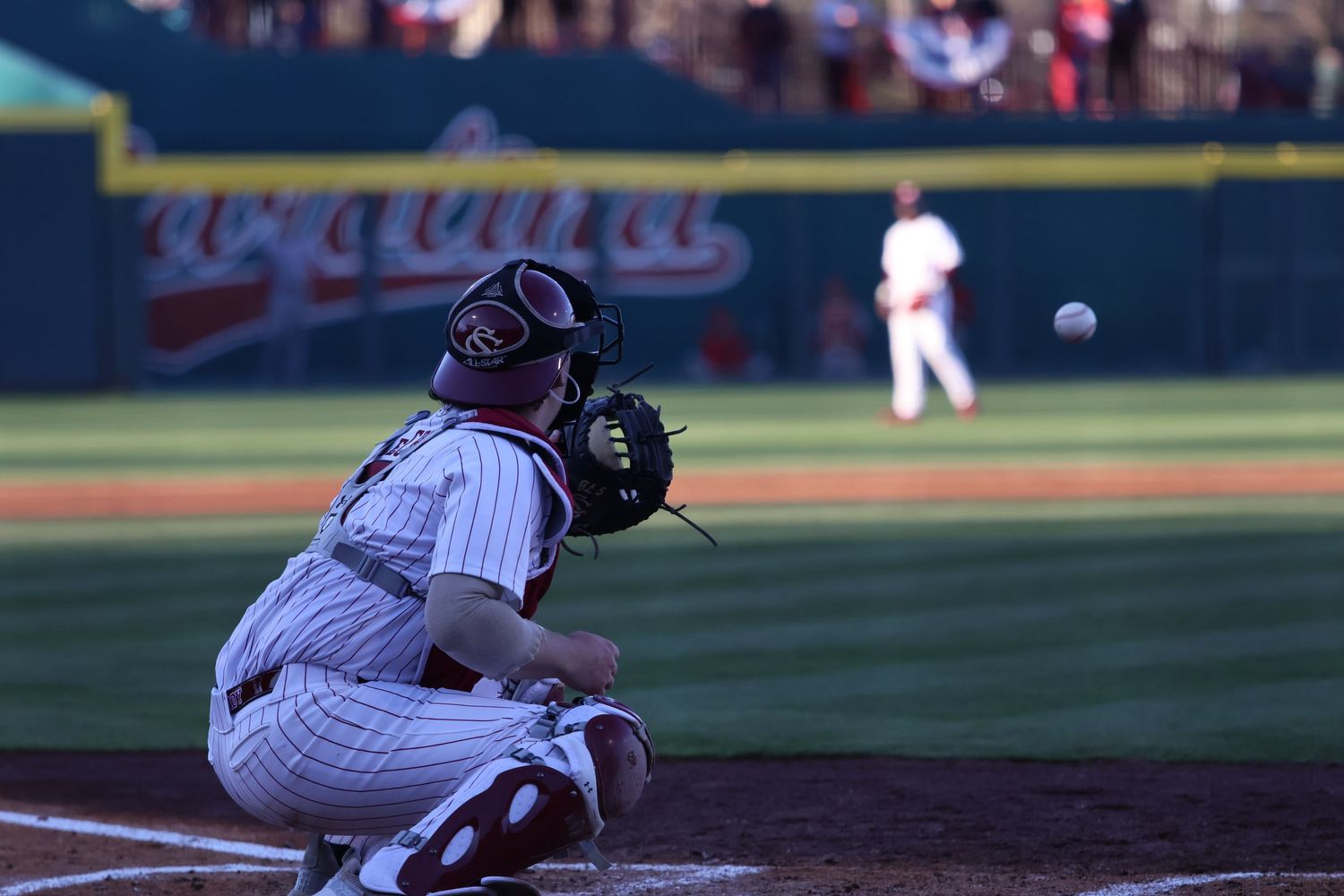 South Carolina catcher tracks an incoming pitch from behind home plate.