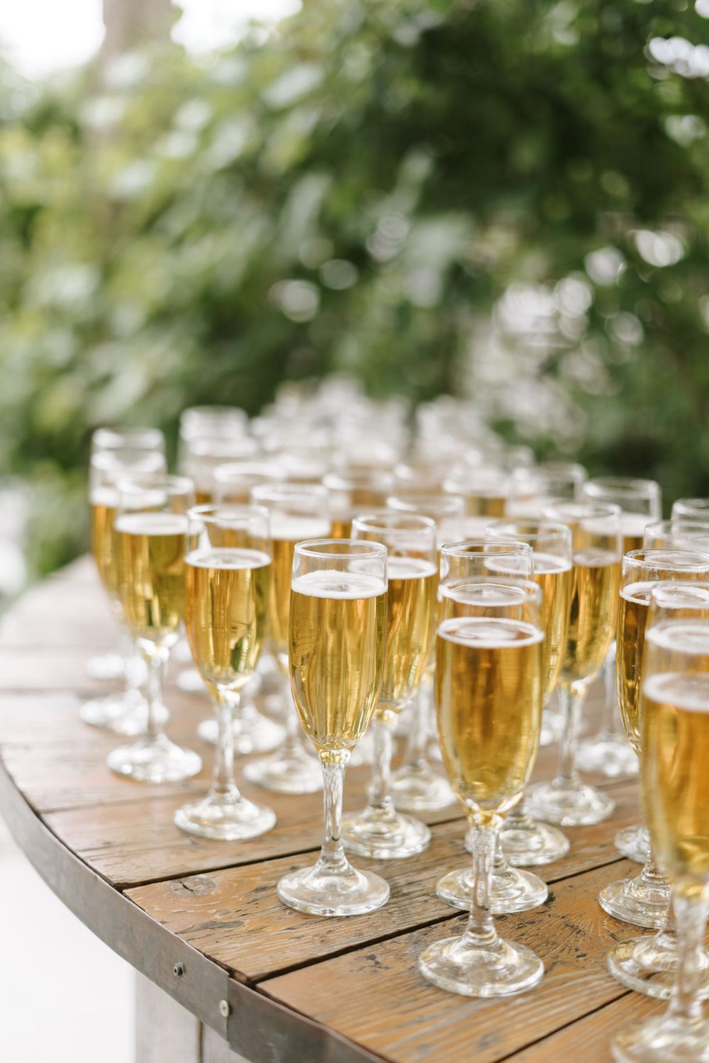 Rows of champagne flutes filled with golden bubbly arranged on a wooden table.