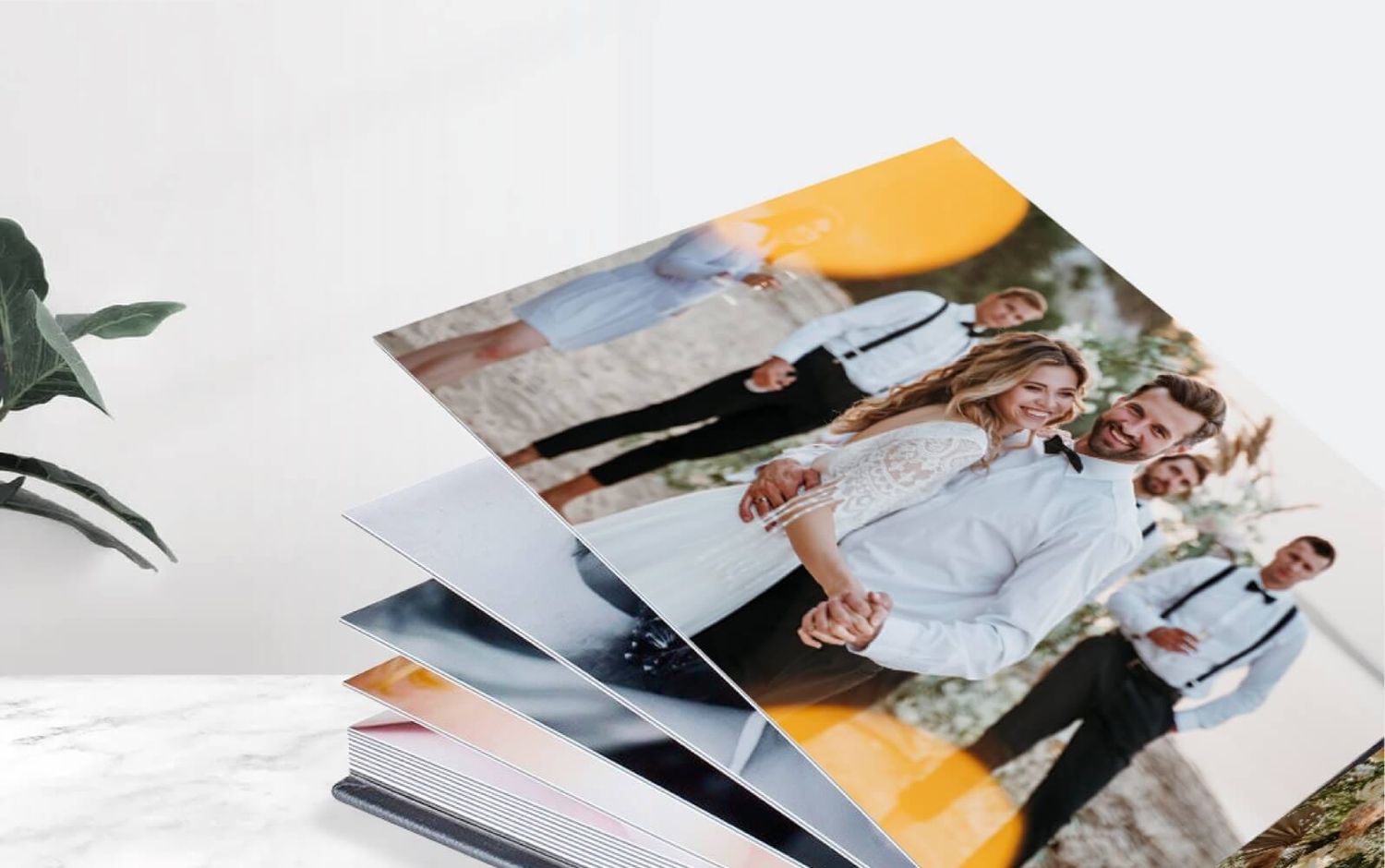 A collection of scattered photographs displayed on a white surface with a green plant leaf visible in the corner.