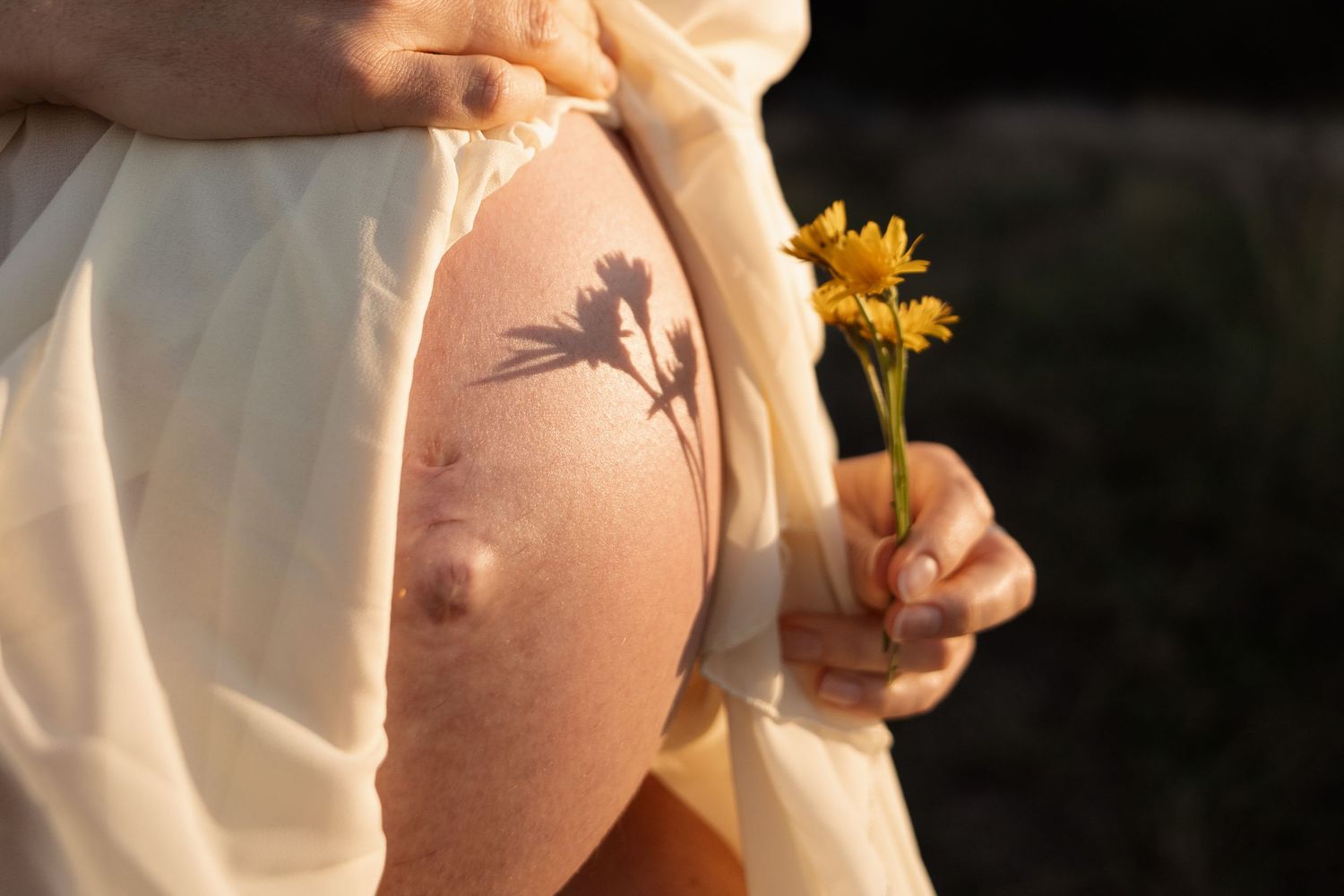 mum holding flower and creating shadow on her baby bump during maternity session