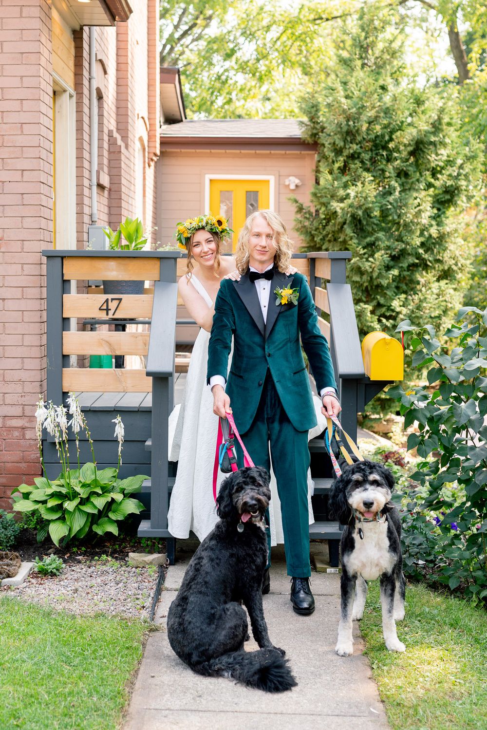 wedding couple with their dogs during photography session