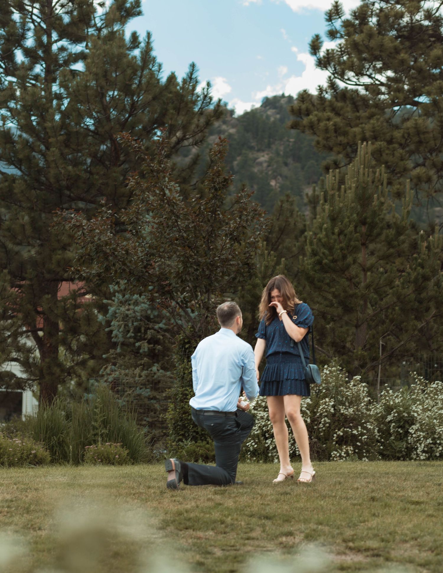 A romantic proposal moment captured in a mountain setting with pine trees in the background.