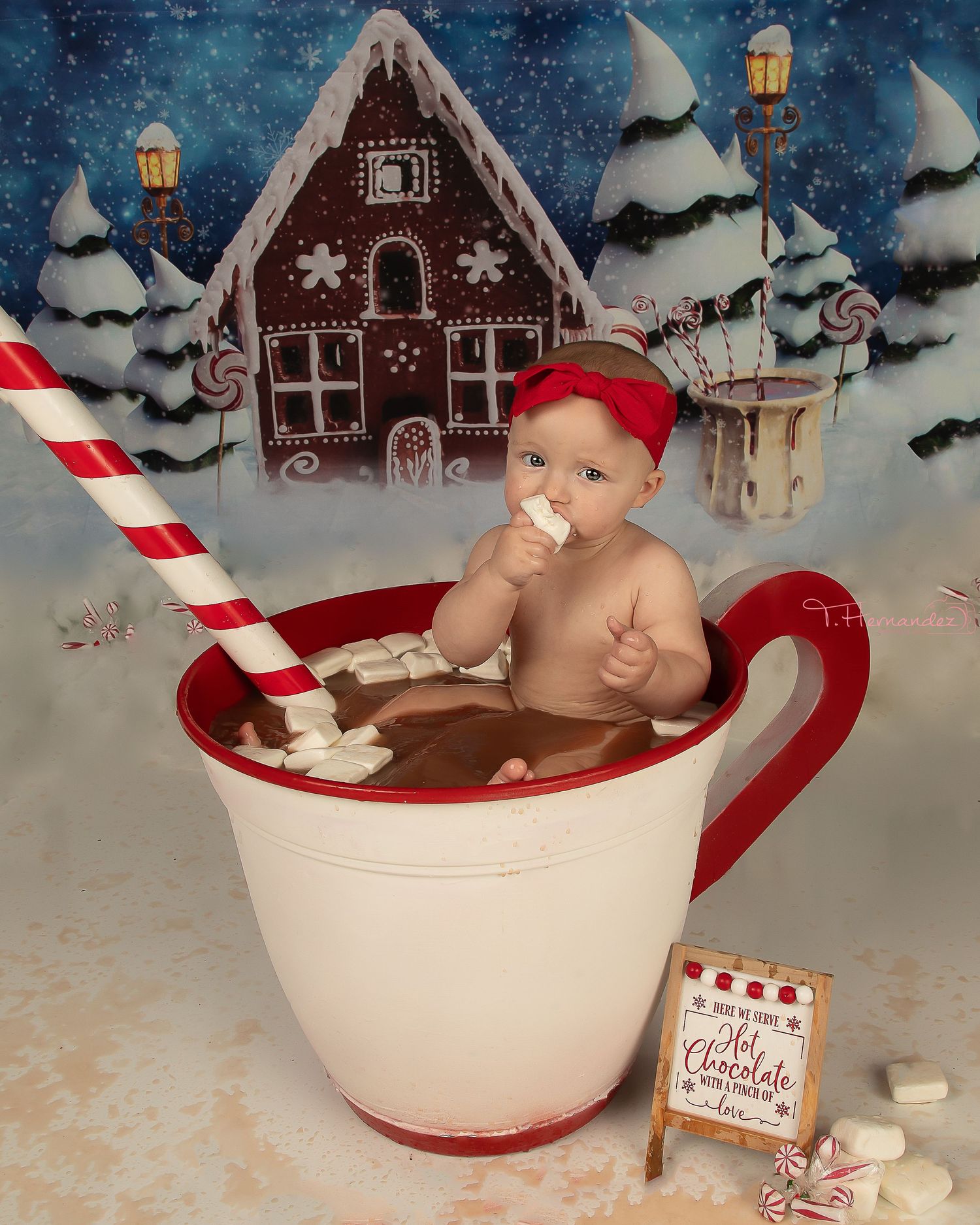 #firstchristmas #scphotographer #columbiasc #lexingtonscphotographer #christmascardideas