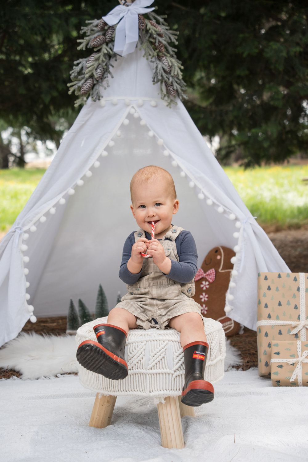 Invercargill Christmas photos