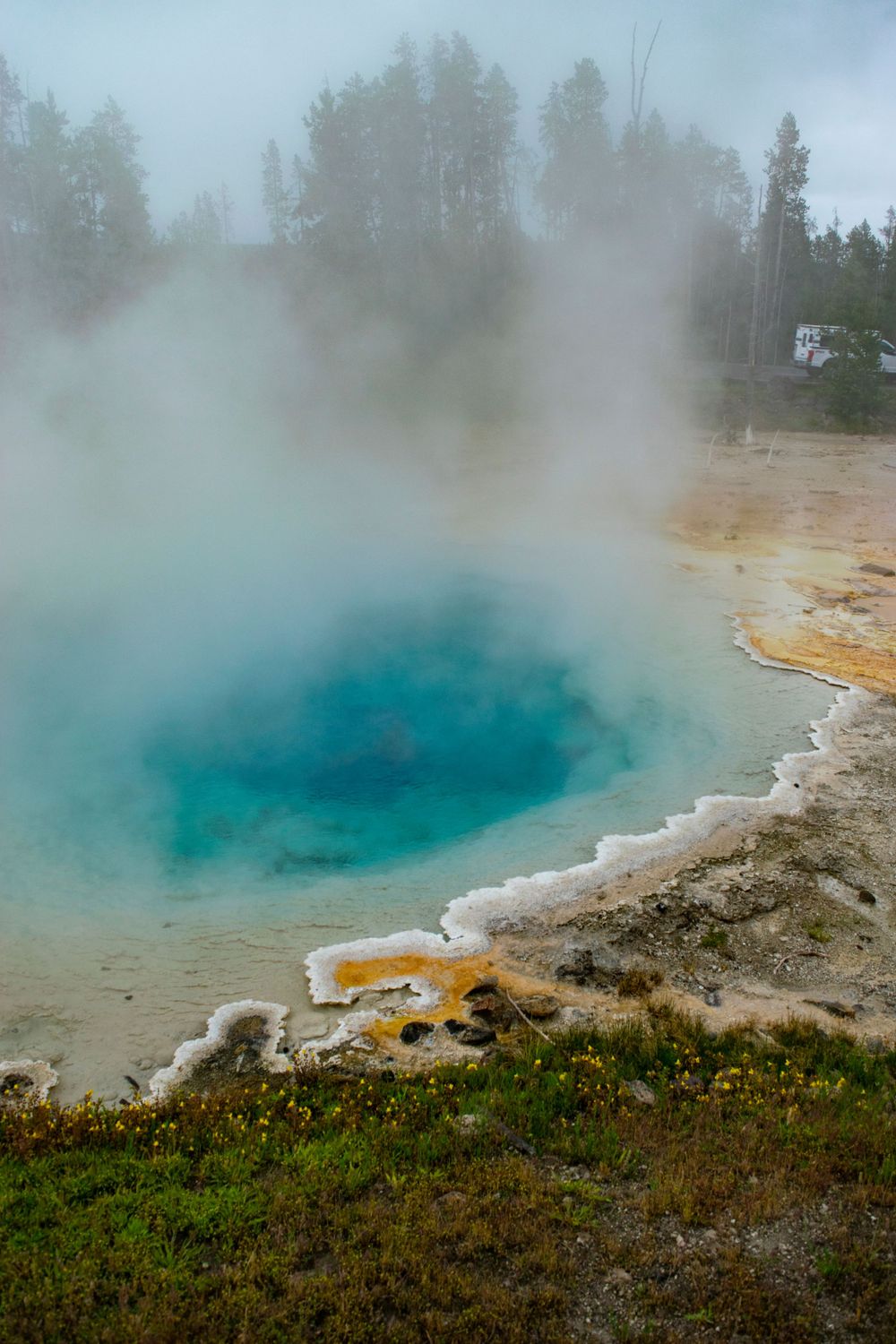 Vibrant blue geothermal pool with orange bacterial mats and rising steam in Yellowstone.