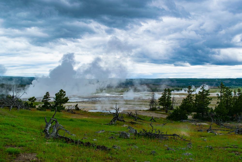 Scenic view of a steaming geothermal area in Yellowstone National Park with green meadows and dramatic cloudy sky.