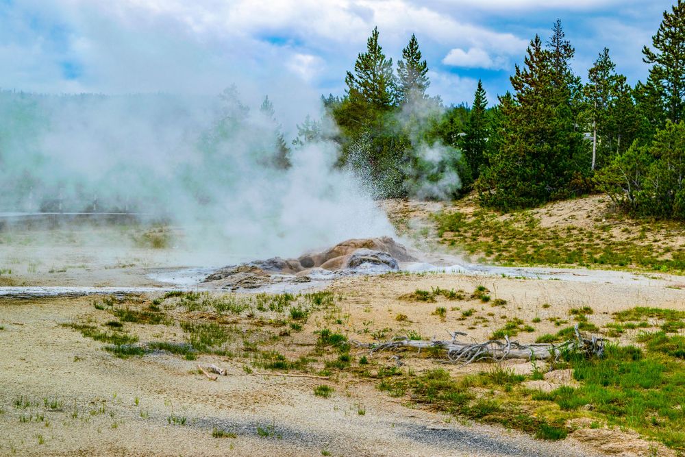 Geothermal steam rising from rocky ground with evergreen trees in the background.