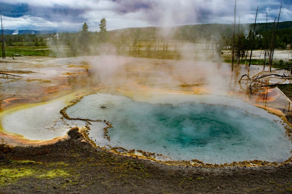 Vibrant turquoise hot spring pool with colorful mineral deposits and steam rising in Yellowstone National Park.