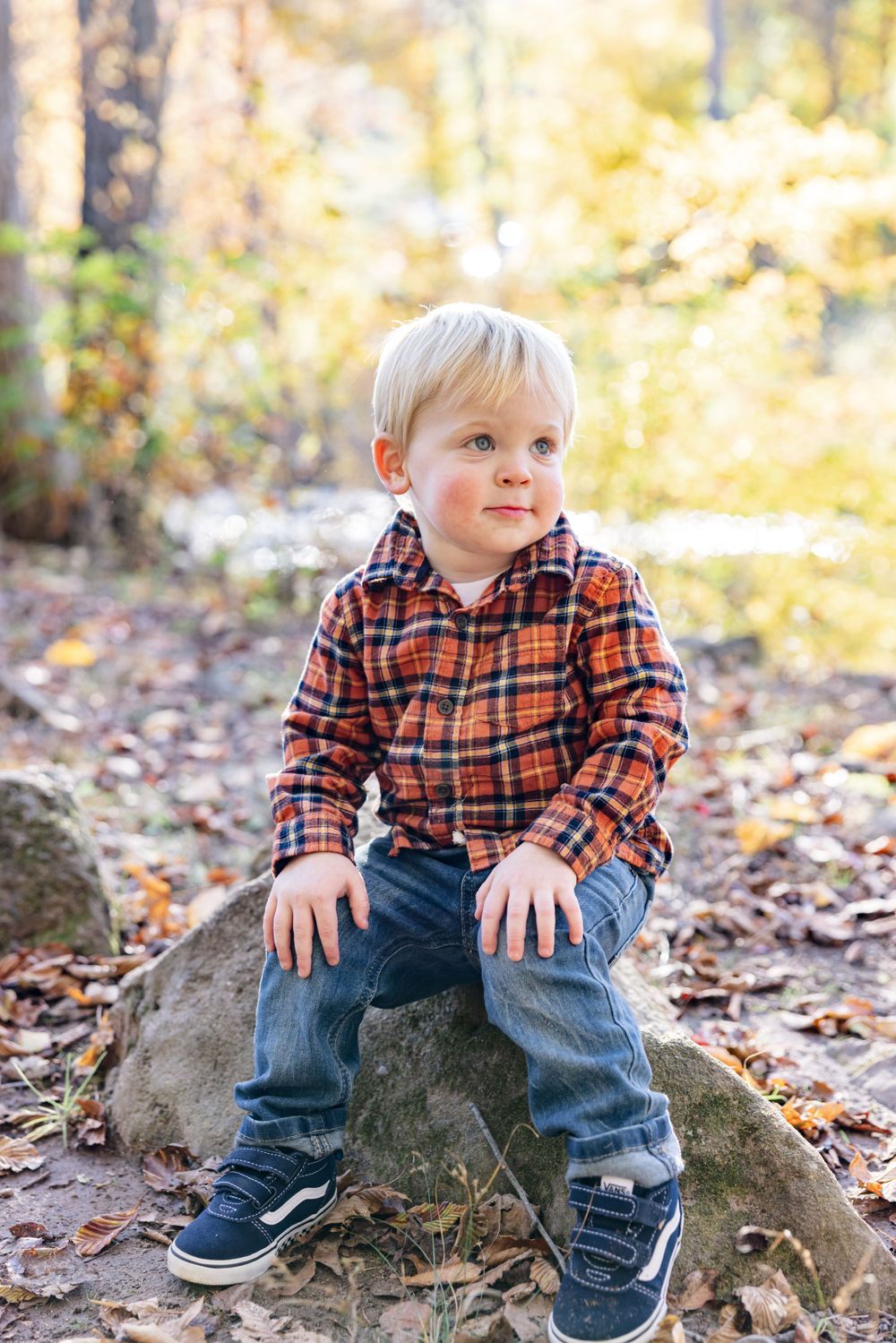 Autumn portrait session featuring plaid shirt and jeans on natural stone in fallen leaves.